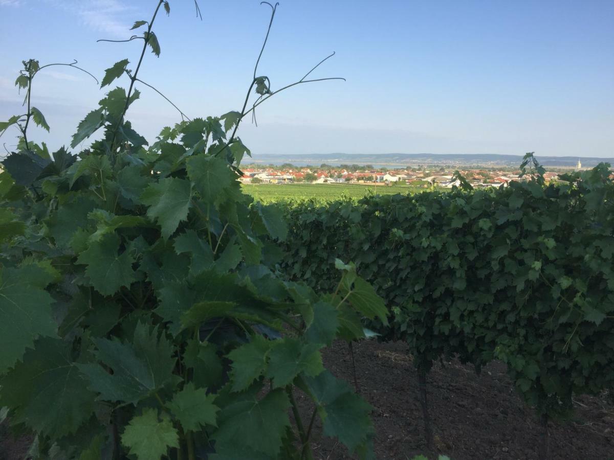 Weingut Krikler Apartment Weiden am See Ngoại thất bức ảnh